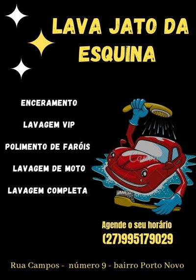 Higienização automotiva. 